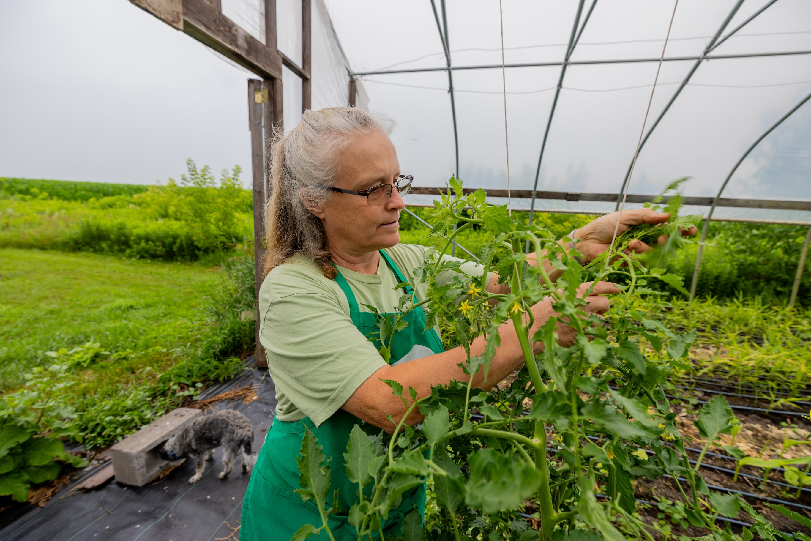 Riverland students in an agriculture or food program