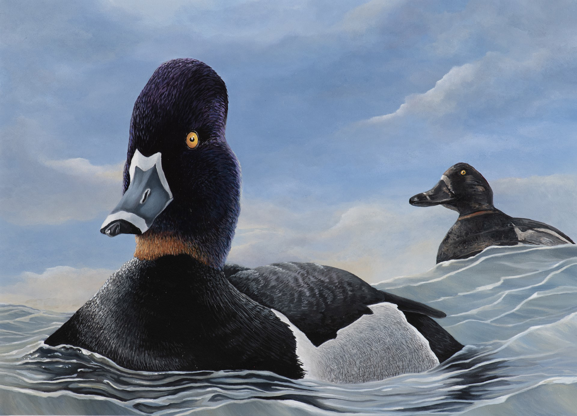 Artwork by Jake Levisen